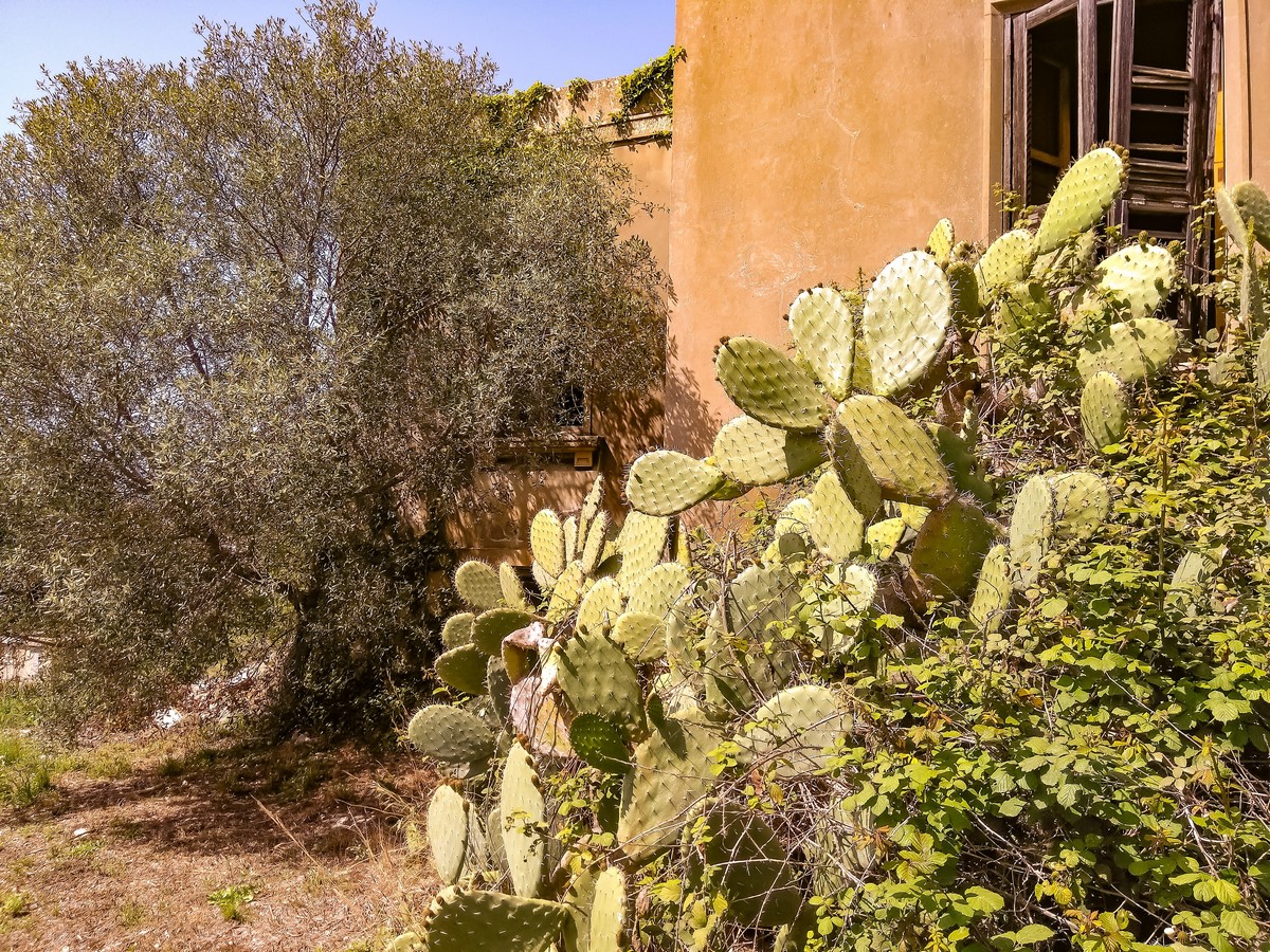 Villa in vendita zona Isola Siracusa Sicilia
