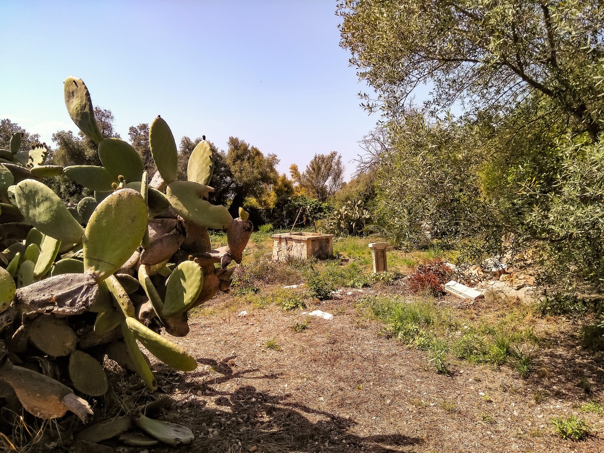 Villa in vendita zona Isola Siracusa Sicilia